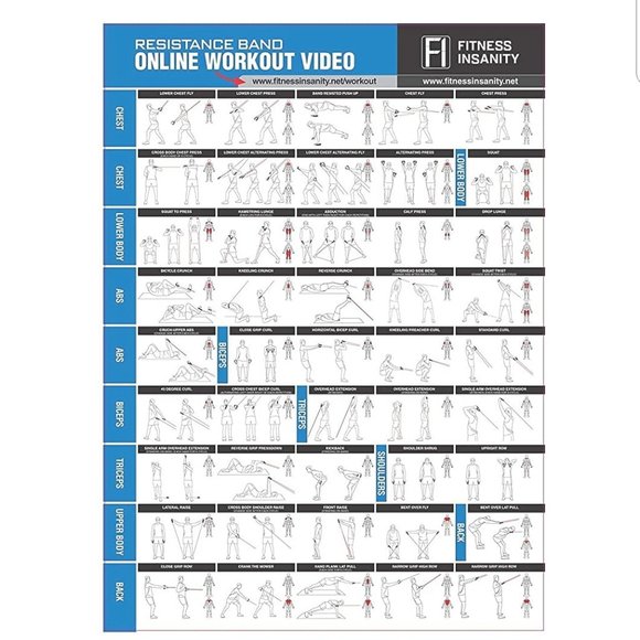 Fitness Insanity Muscle Hunter - Picture 5 of 9